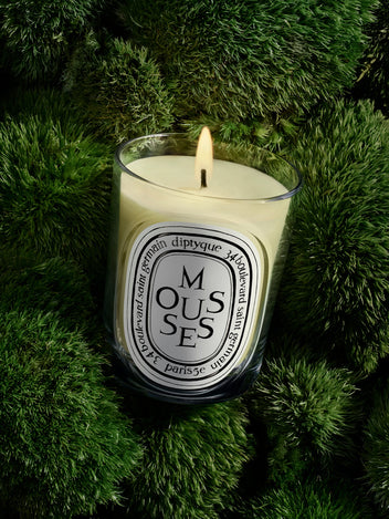Mousses (Moss) - Classic Candle
