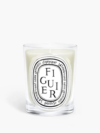 Figuier (Fig Tree) - Classic Candle