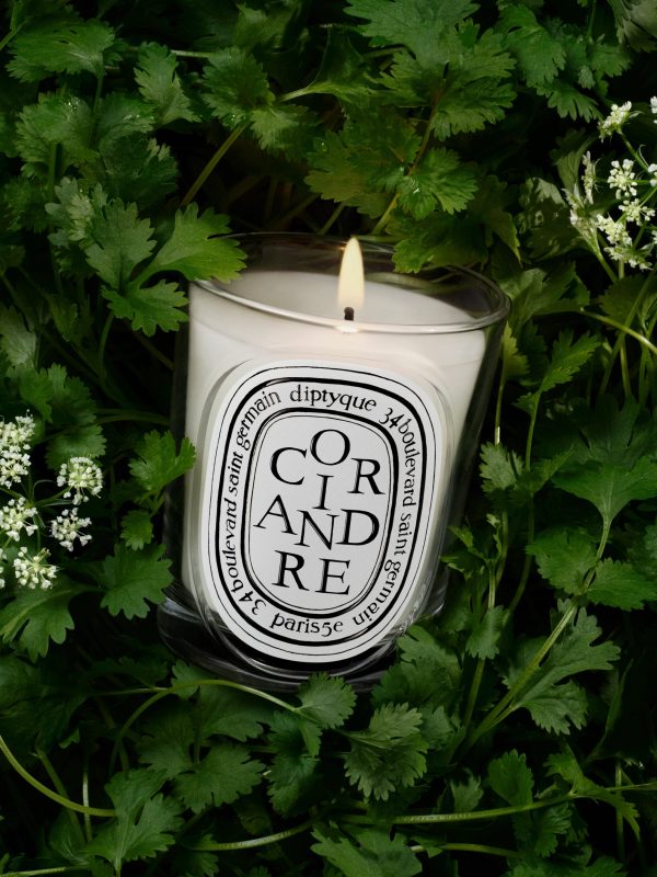 Coriandre (Coriander) - Classic Candle