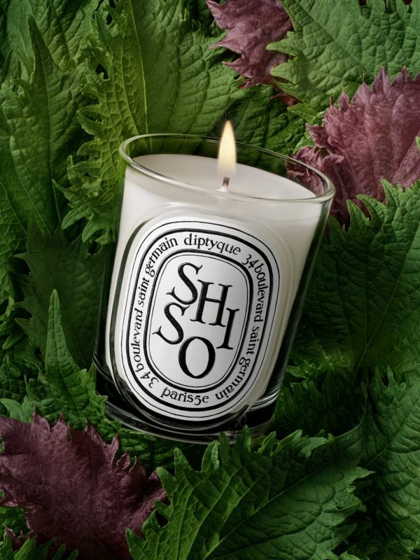 Shiso - Classic Candle