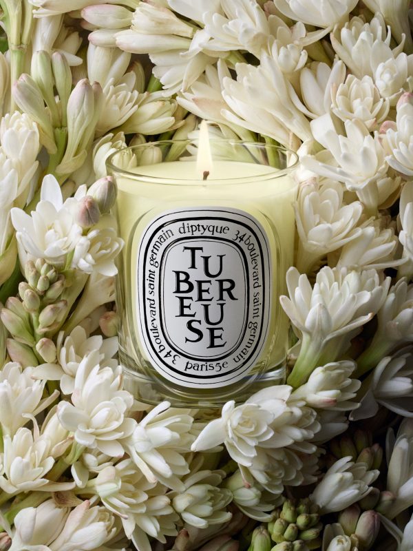 Tubéreuse (Tuberose) - Refill for classic candles