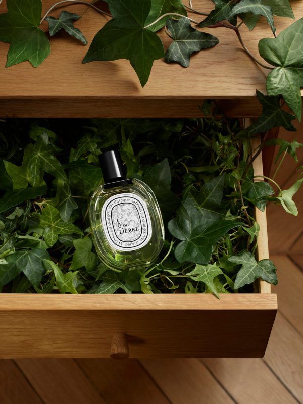 Eau de Lierre - Eau de toilette