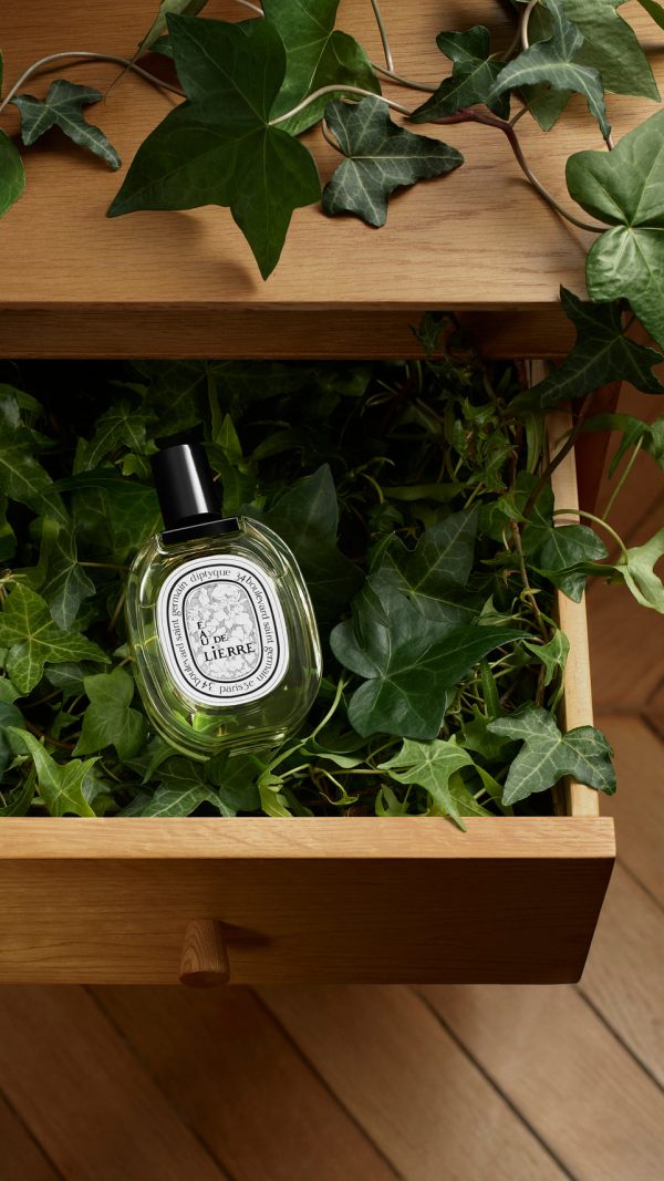 Eau de Lierre - Eau de toilette