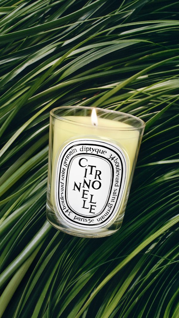 Citronnelle (Lemongrass) - Classic Candle