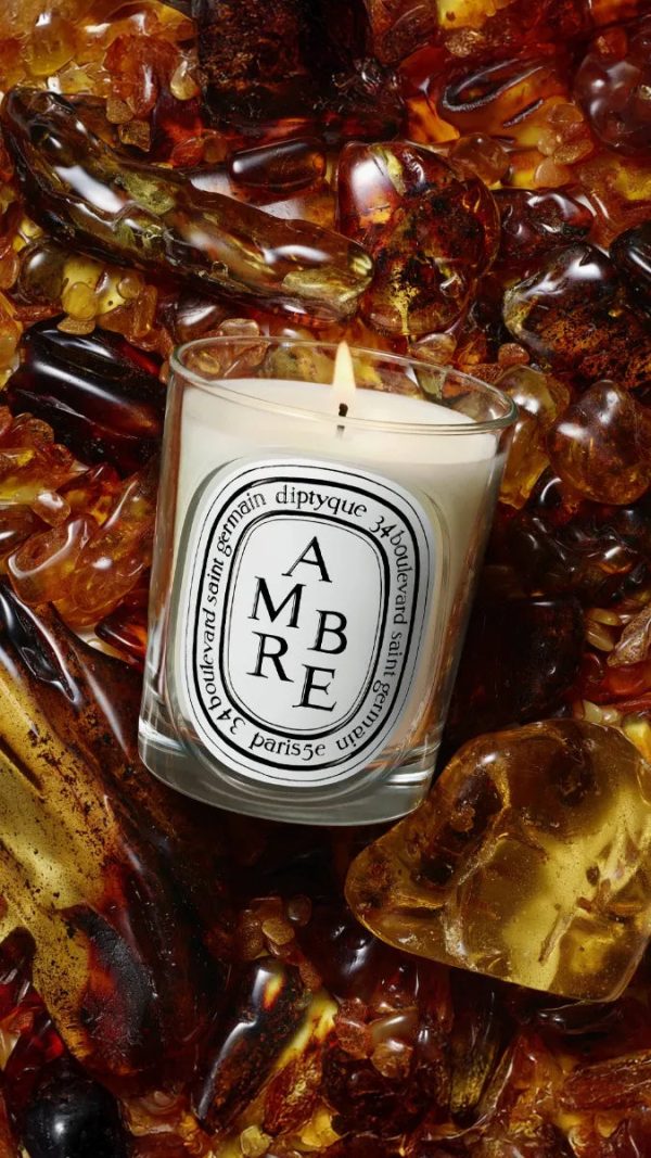 Ambre (Amber) - Refill for classic candles