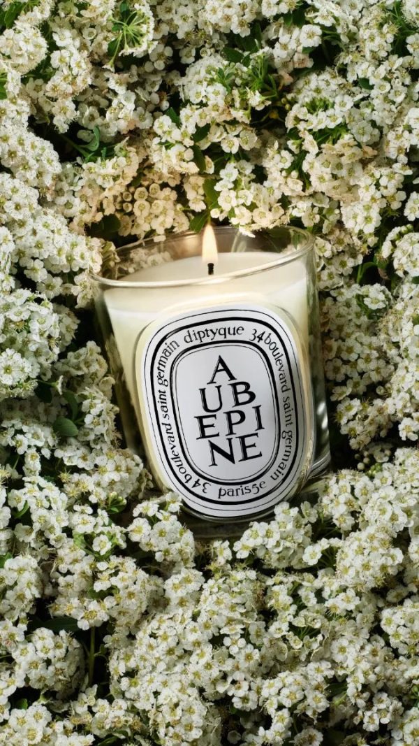 Aubépine (Hawthorn) - Classic Candle