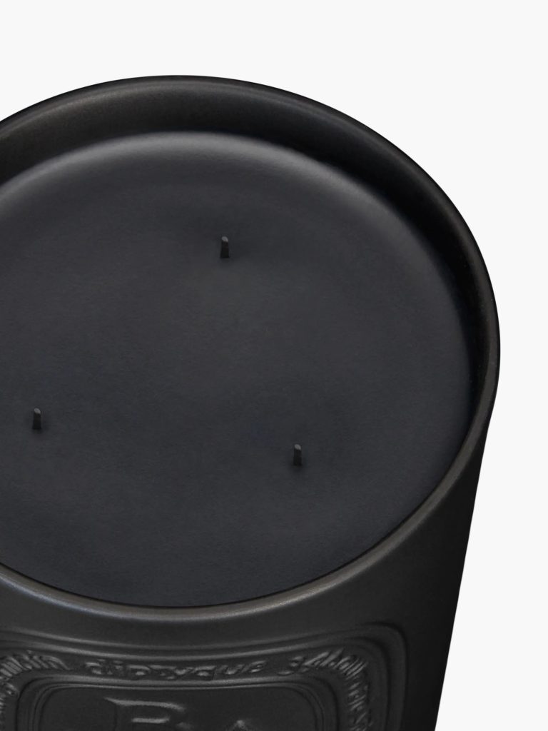 Baies (Berries) - Large Candle
