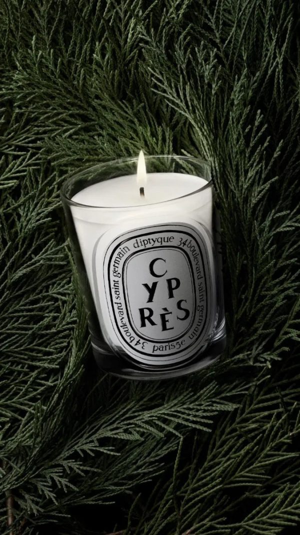 Cyprès (Cypress) - Classic Candle
