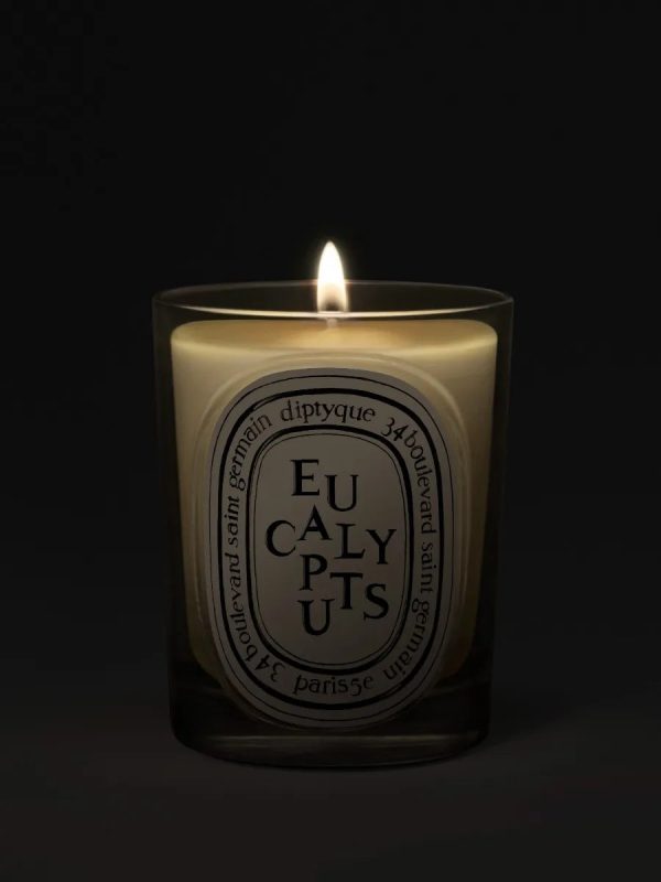 Eucalyptus - Classic Candle