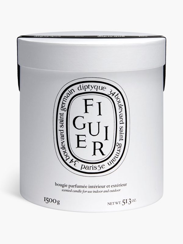 Figuier (Fig Tree) - Very Large Candle