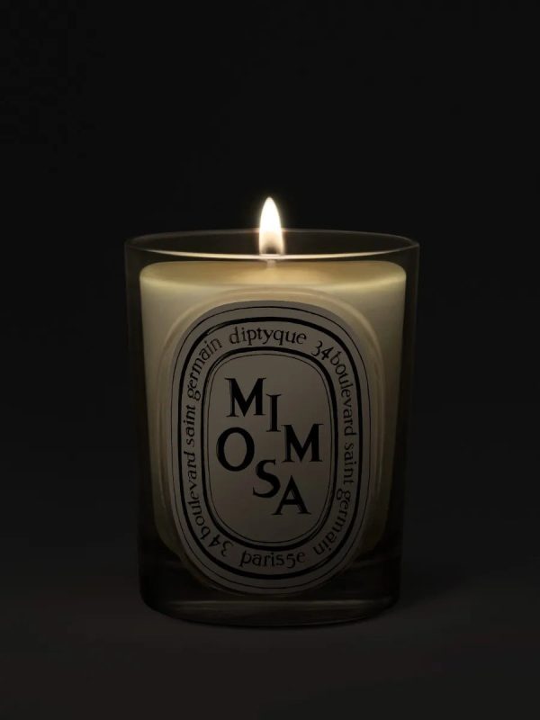 Mimosa - Classic Candle