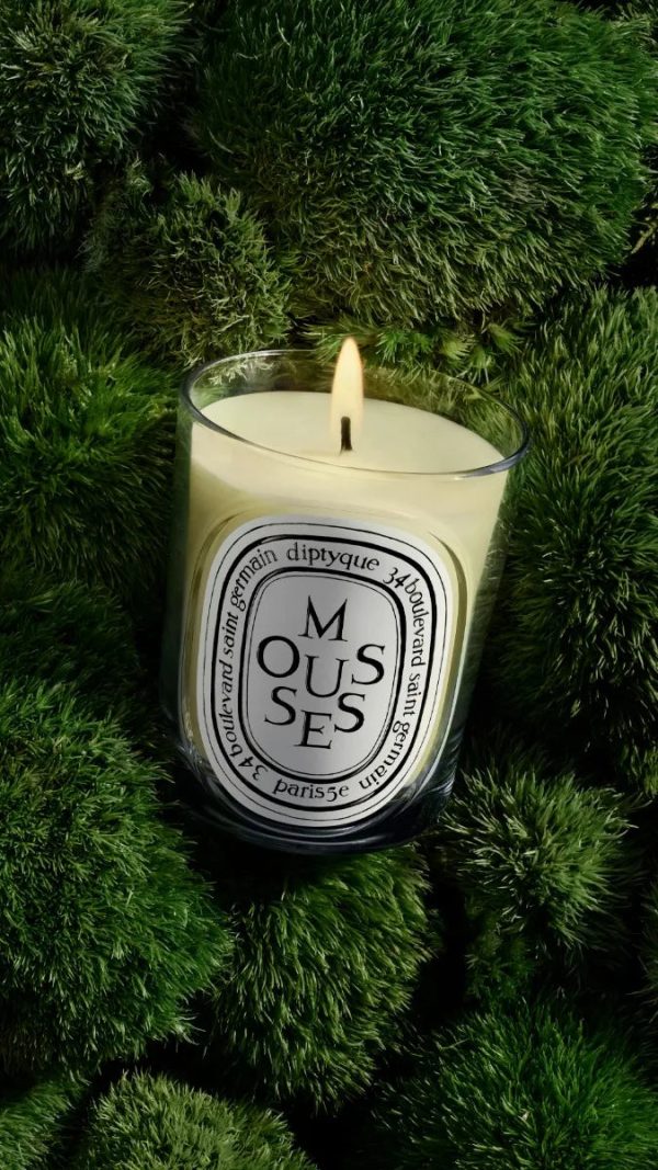 Mousses (Moss) - Classic Candle