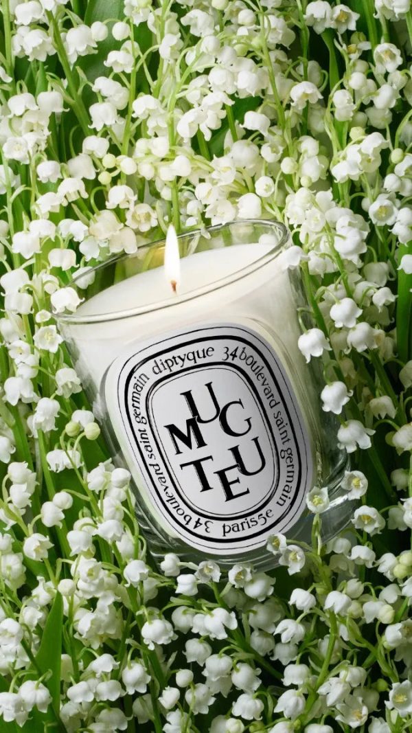 Muguet (Lily of the Valley) - Classic Candle