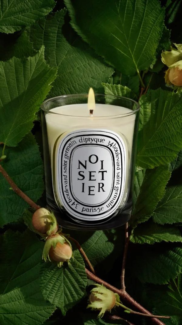 Noisetier (Hazel Tree) - Classic Candle