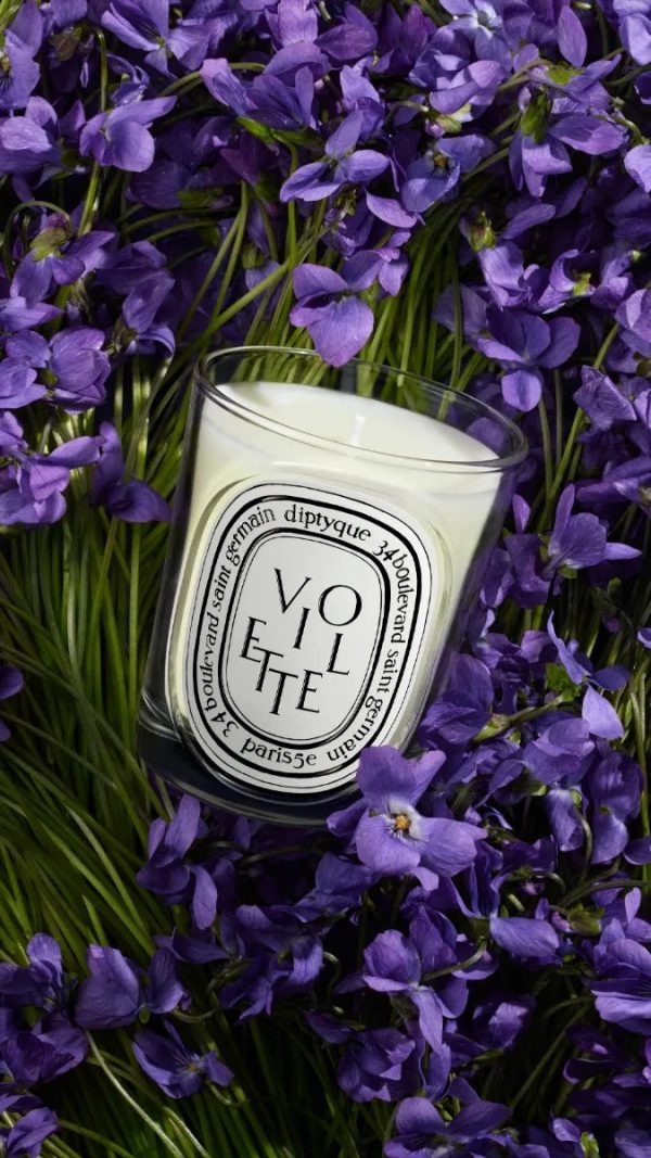 Violette (Violet) - Classic Candle