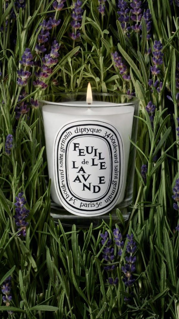 Feuille de Lavande (Lavender Leaf) - Small Candle