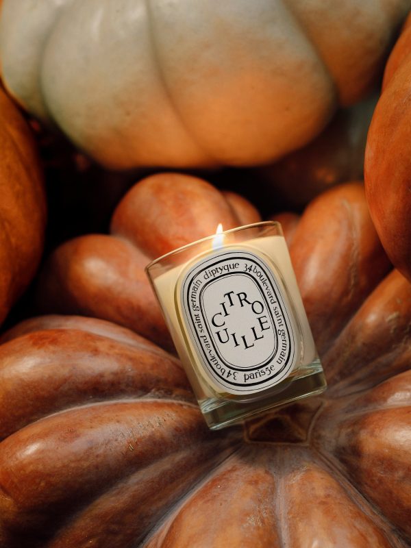 Citrouille (Pumpkin) - Classic candle