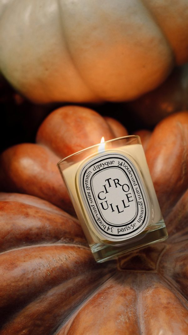 Citrouille (Pumpkin) - Classic candle