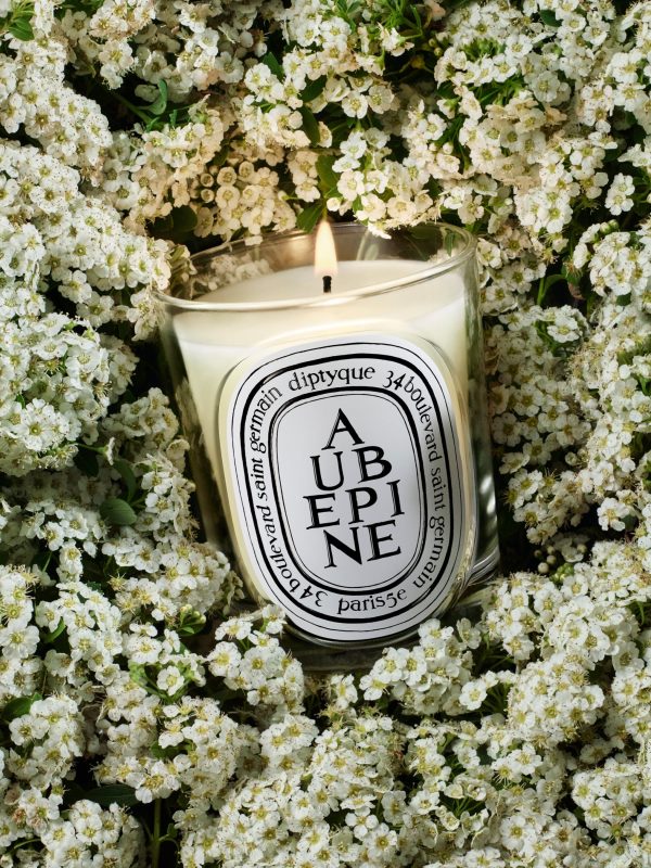 Aubépine (Hawthorn) - Classic Candle