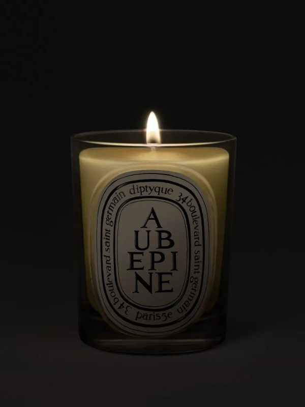 Aubépine (Hawthorn) - Classic Candle