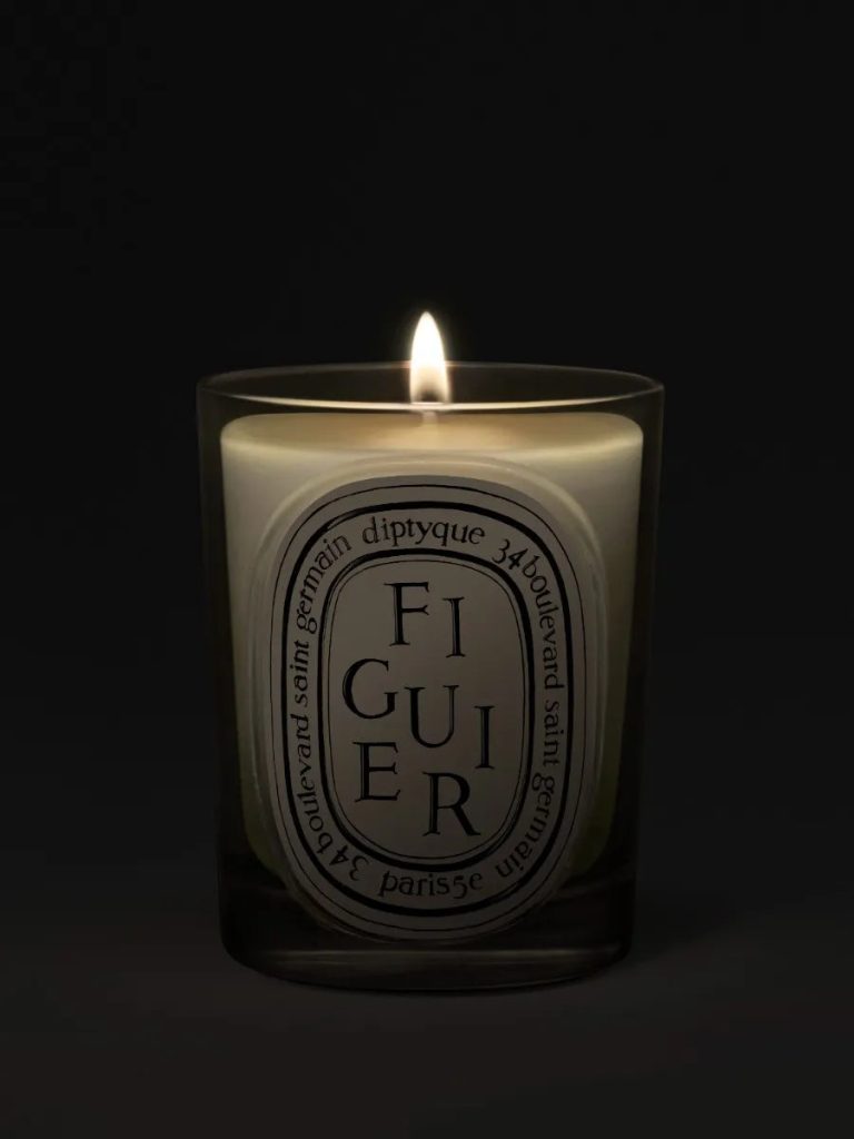 Figuier (Fig Tree) - Classic Candle