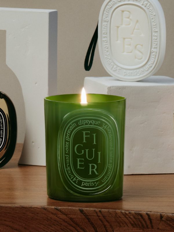 Figuier (Fig Tree) - Medium Candle